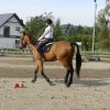 Babie Lato 2016
